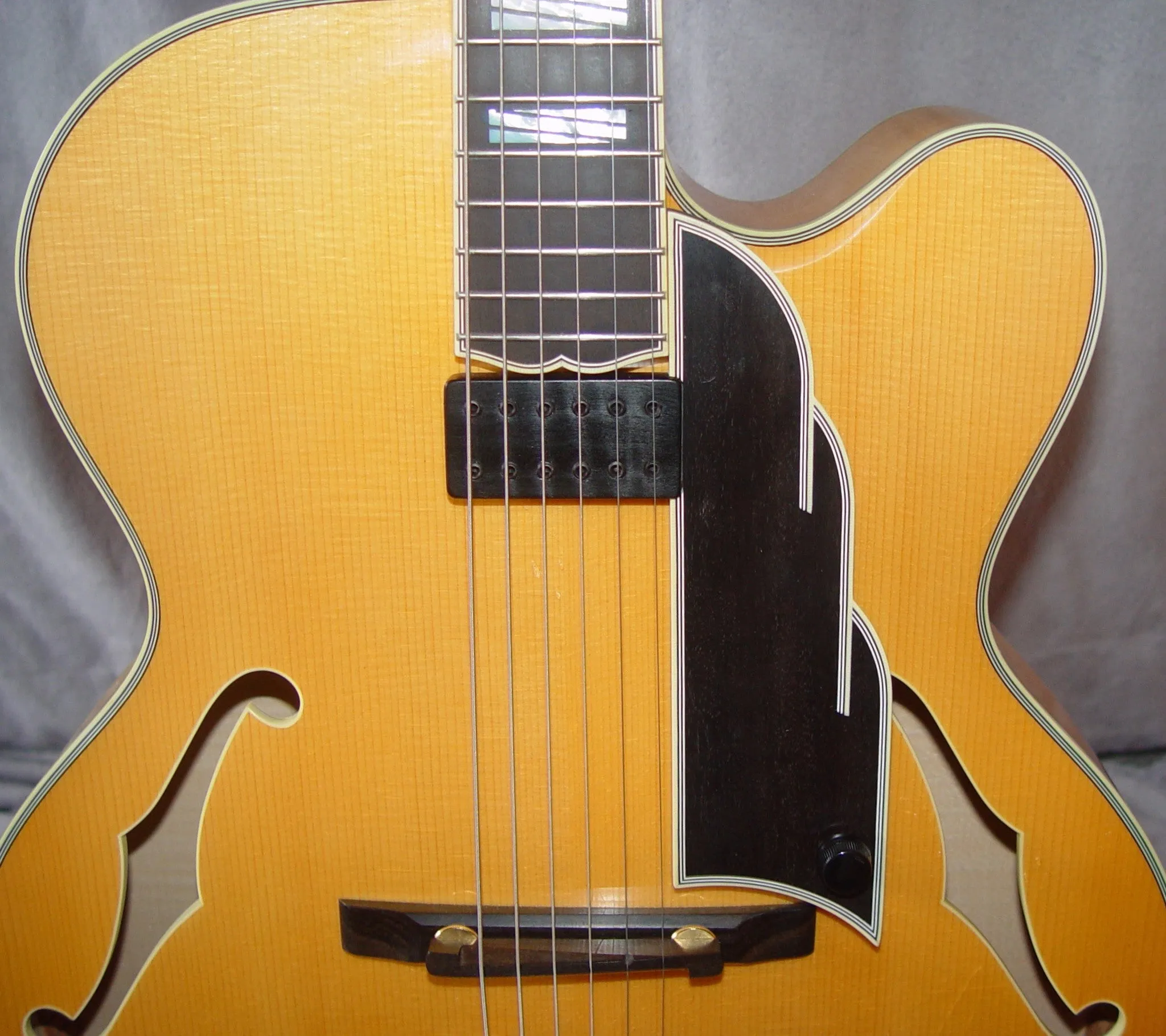 Andersen Emerald City Reserve Archtop Guitar