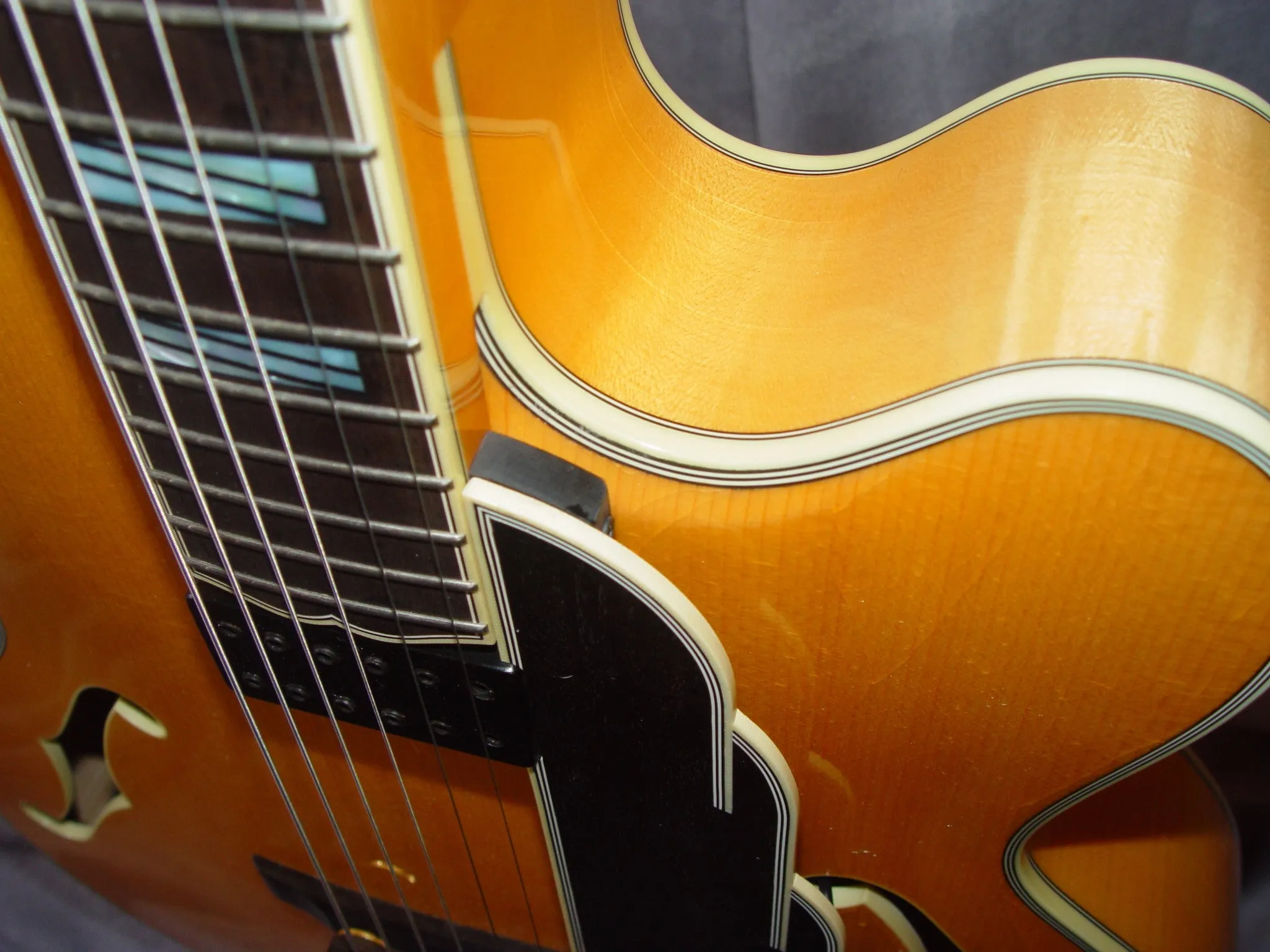 Andersen Emerald City Reserve Archtop Guitar
