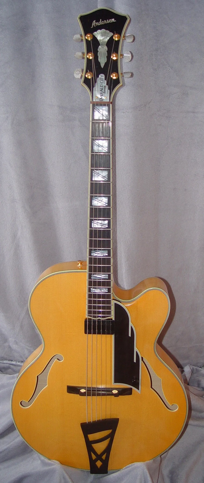 Andersen Emerald City Reserve Archtop Guitar