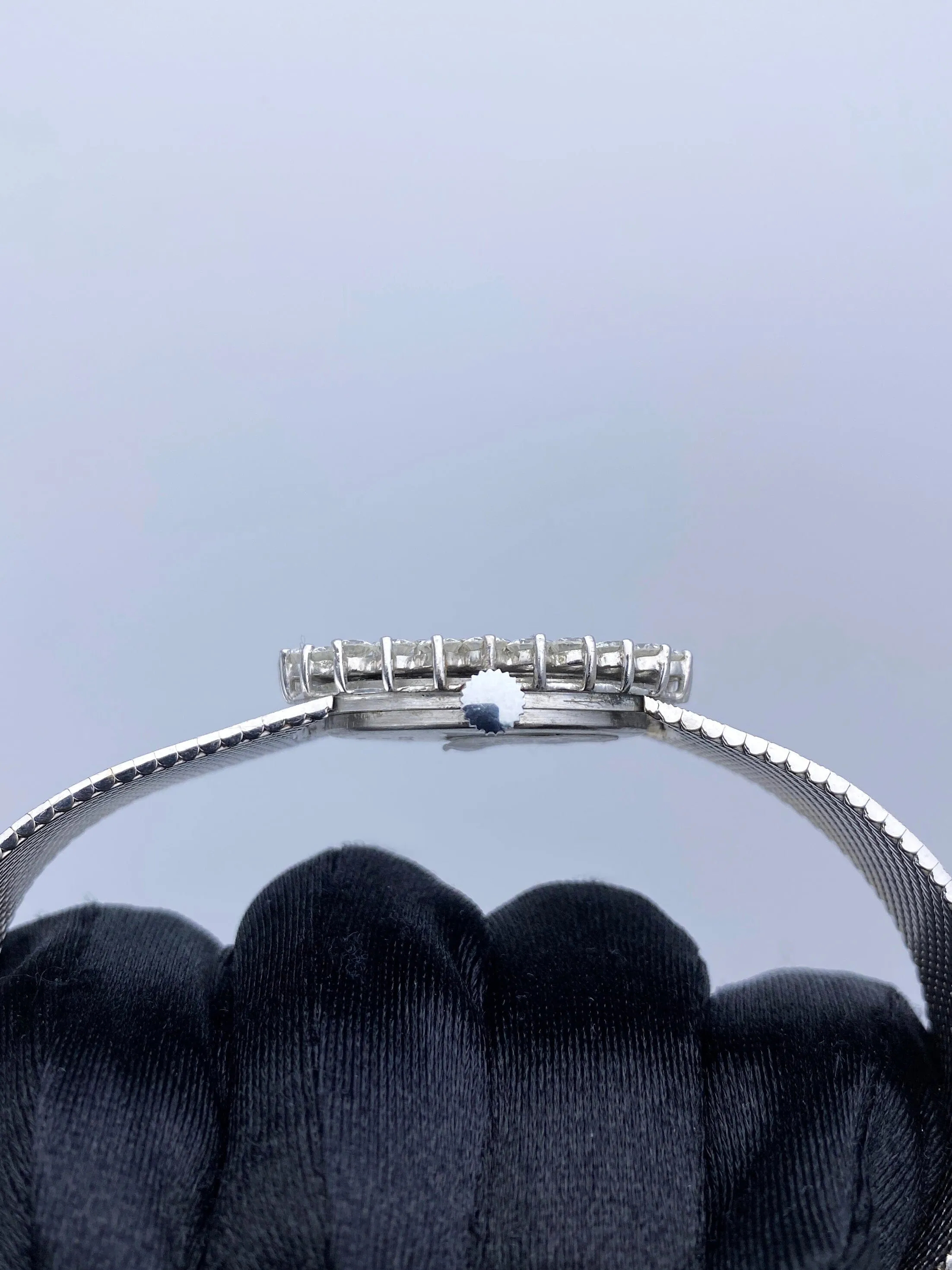 Delanear Opal Dial Diamond Bezel Ladies Watch