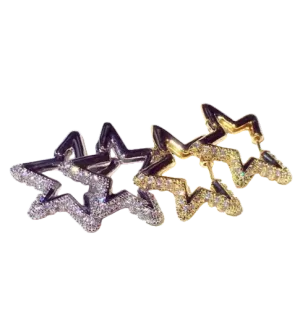 Gold Star Crystal Embellished Earrings In Gift Box