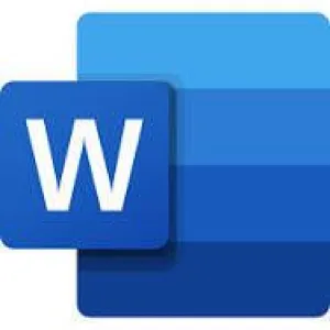MS Word Template to customize and print labels