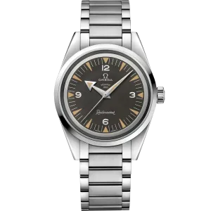 Omega Seamaster Railmaster 38 mm, steel on steel