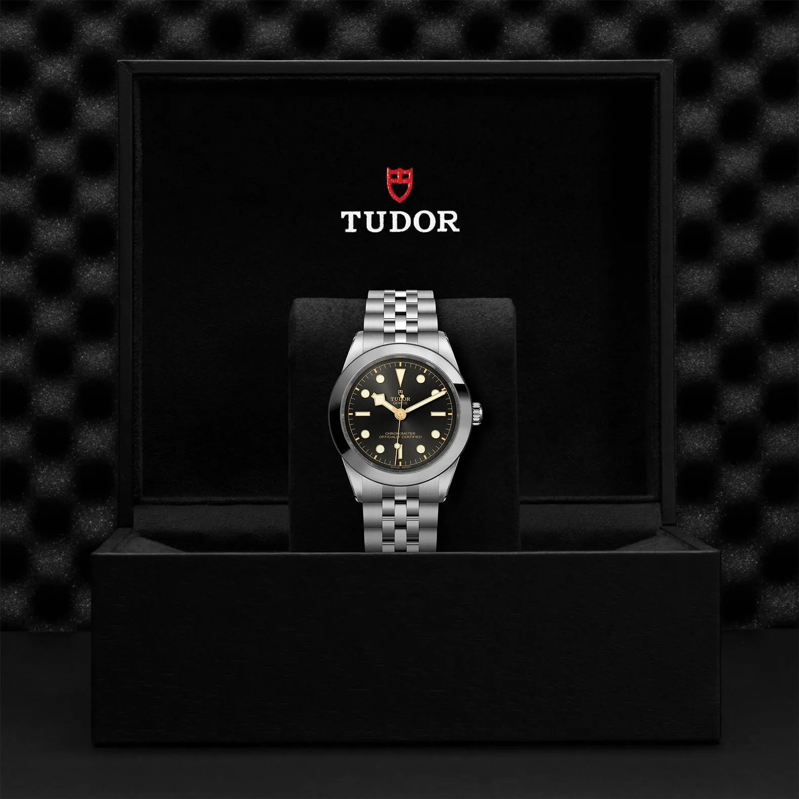 TUDOR Black Bay 39mm Case, Anthracite Dial, Steel Strap (M79660-0001)