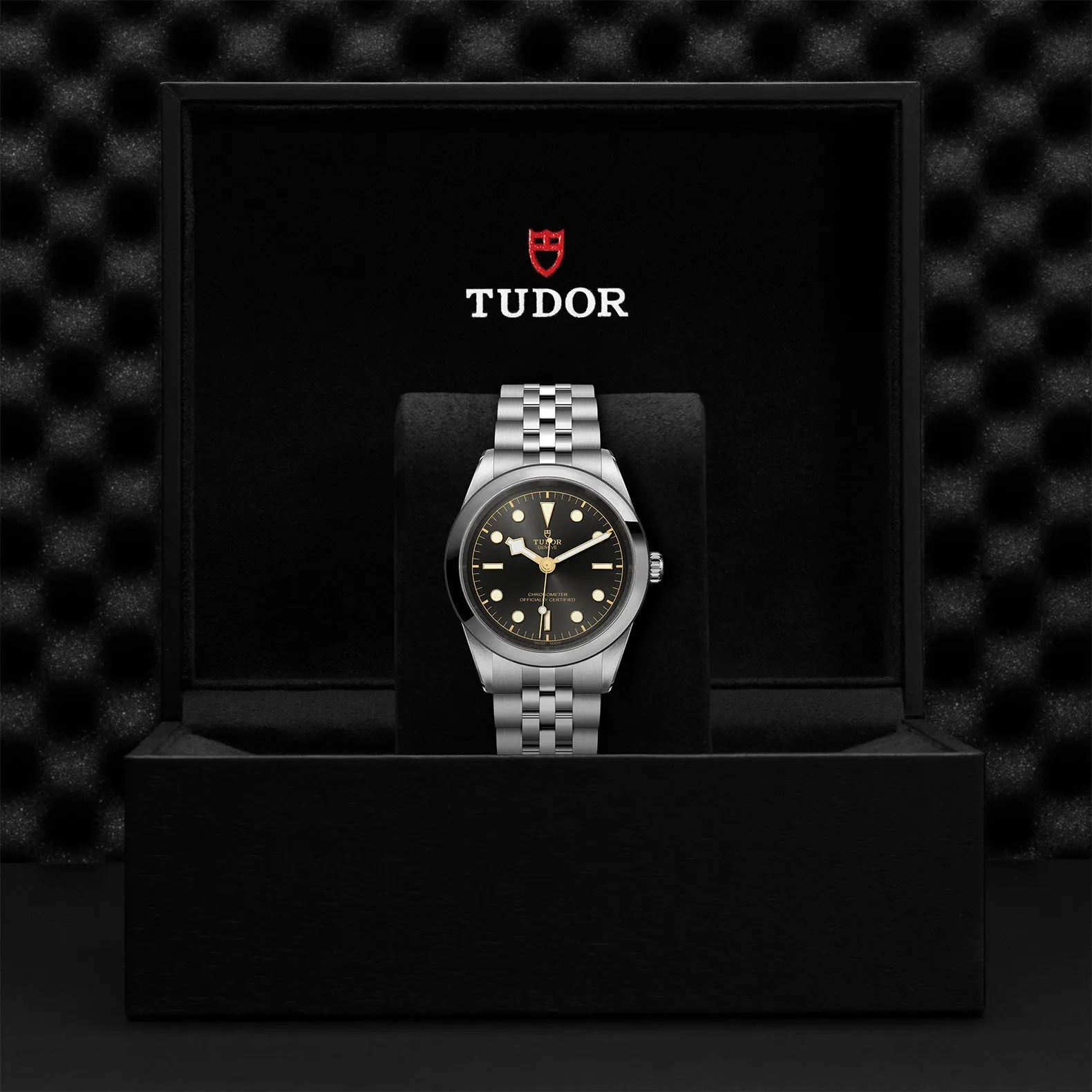 TUDOR Black Bay 41mm Case, Anthracite Dial, Steel Strap (M79680-0001)