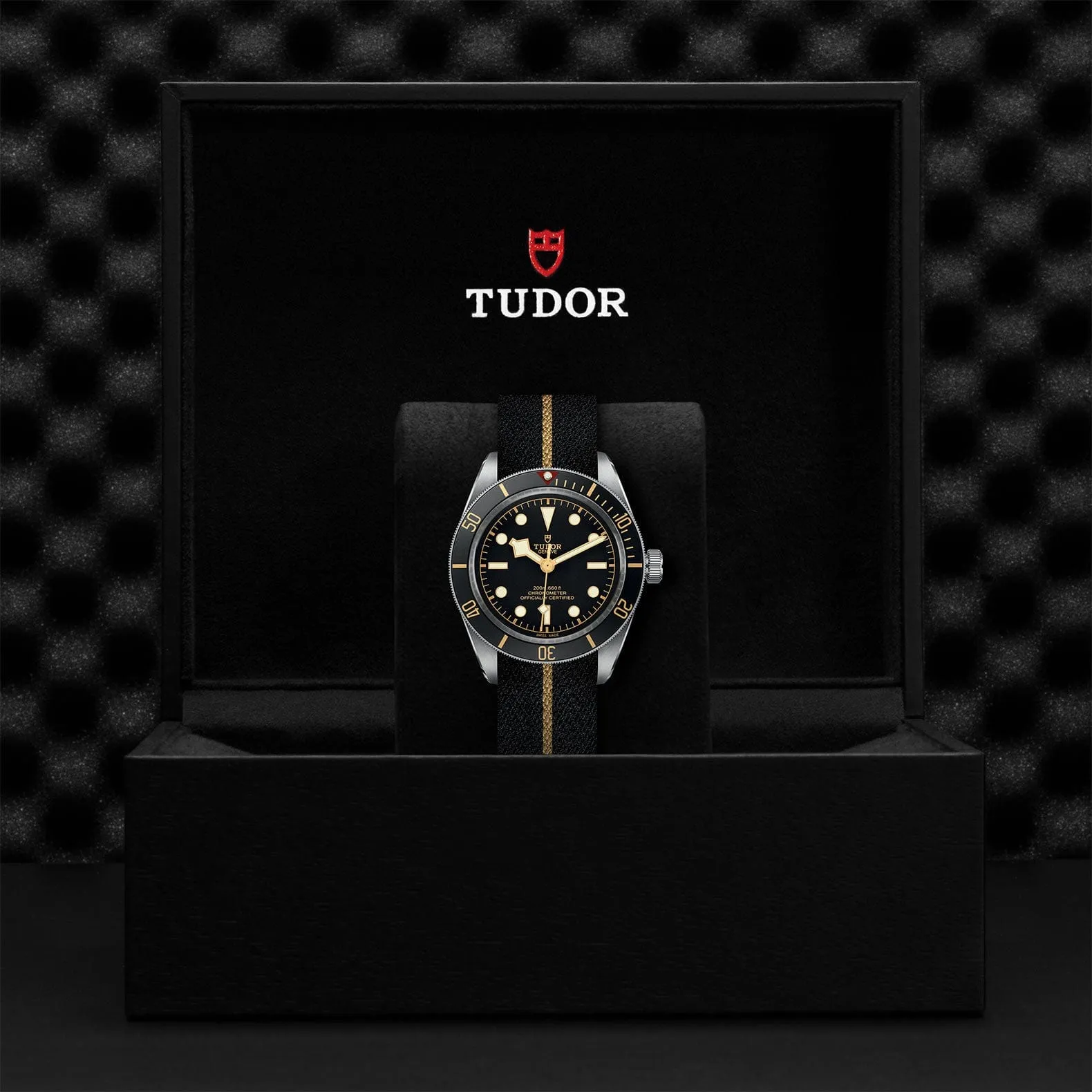 TUDOR Black Bay 58