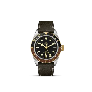 Tudor Black Bay GMT S&G