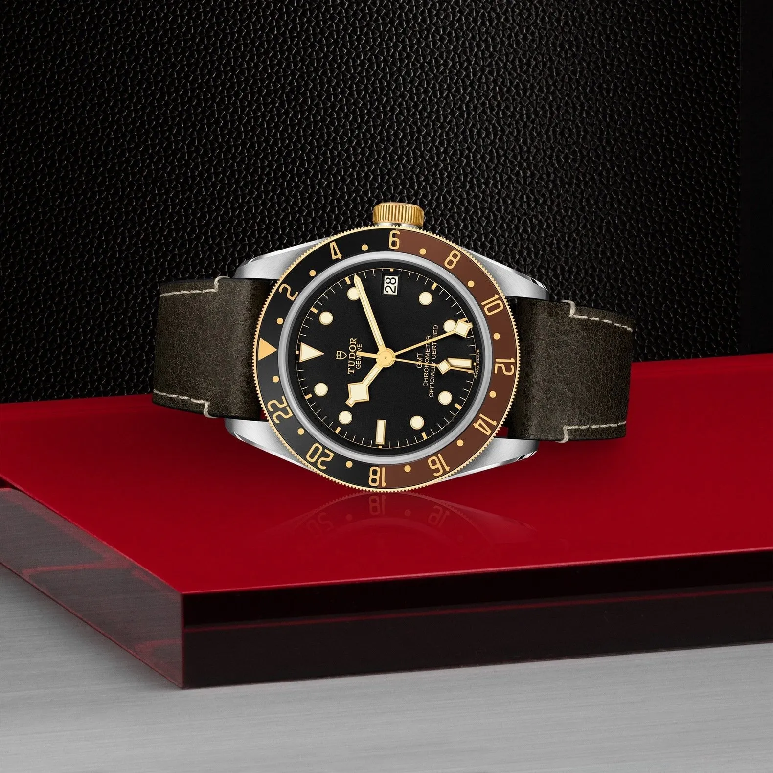 Tudor Black Bay GMT S&G